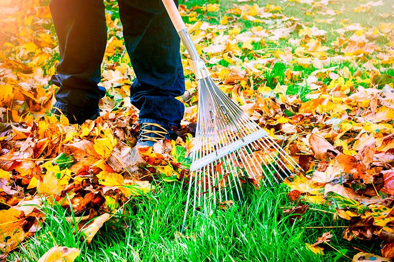 Empresa Terceirizada para Jardinagem