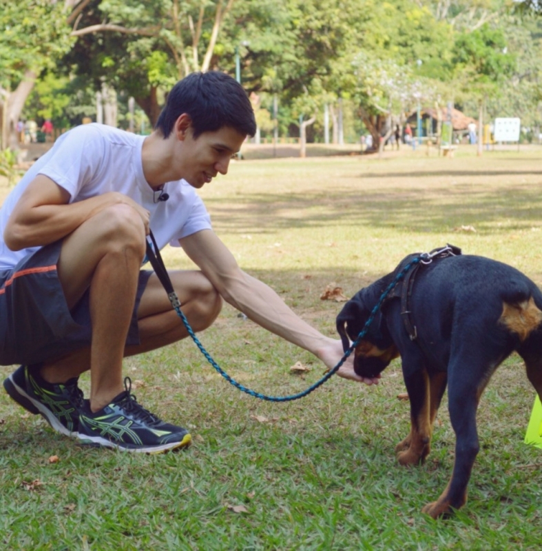 Ensinar Cachorro a Andar Junto