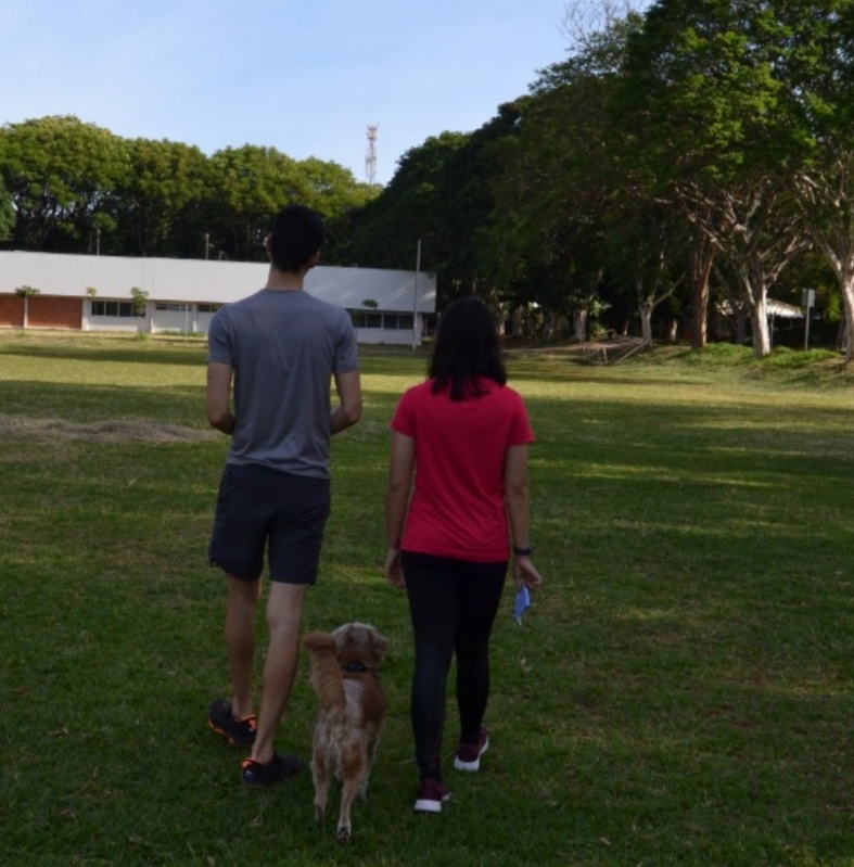 Ensinar Cachorro a Ficar Sozinho