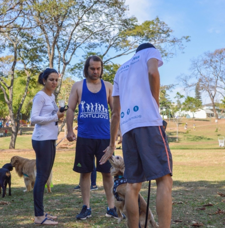 Ensinar Cachorro a Ficar