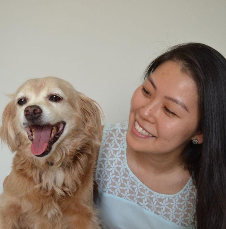 Ensinar Cachorro a Não Morder