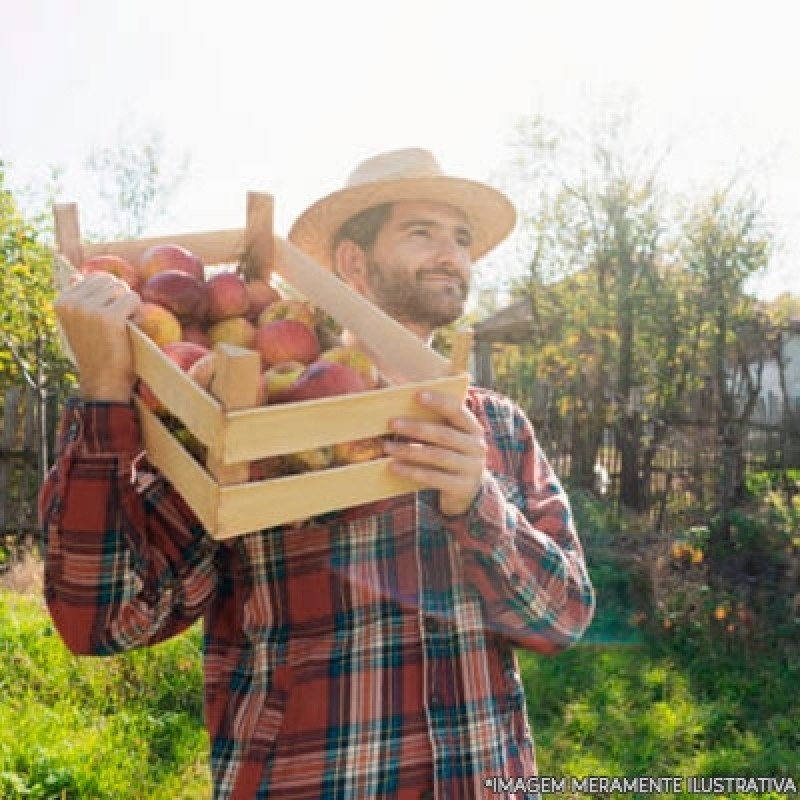 Entrega de Frutas Delivery