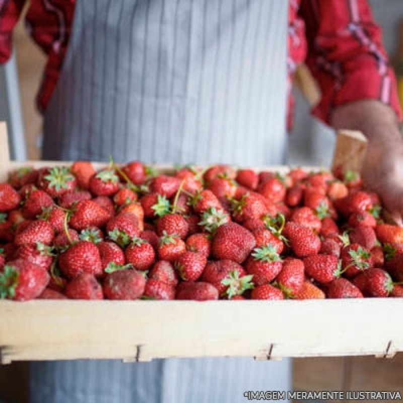 Entrega Hortifruti para Empresas