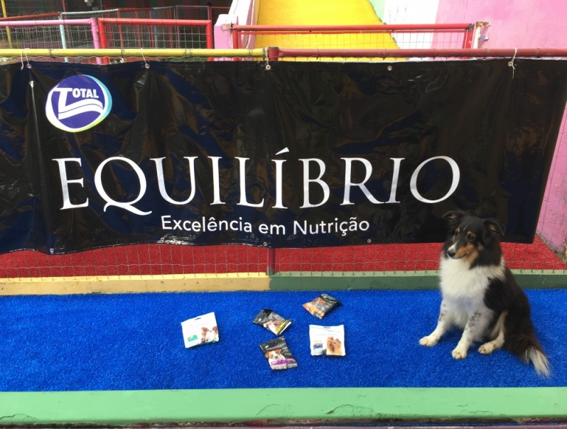 Espaço para Cão com Atividade Física