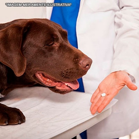 Farmácia de Manipulação para Animais