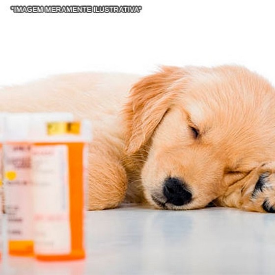Farmácia de Manipulação para Cães