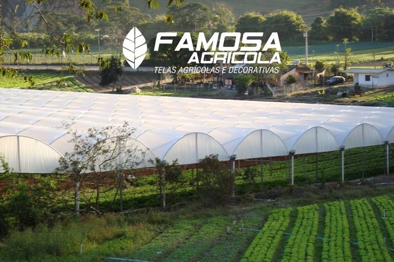 Filmes Plásticos para Agricultura