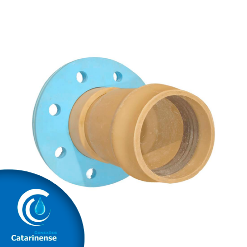 Flange 100mm Pvc