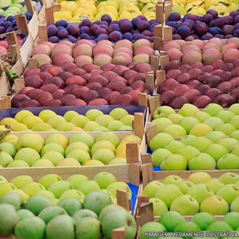 Fornecedor de Hortifruti