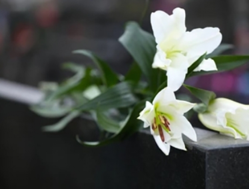 Funerária de Cremação de Corpo São Paulo Capital