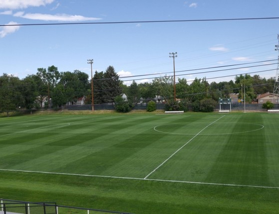 Grama de Campo Futebol