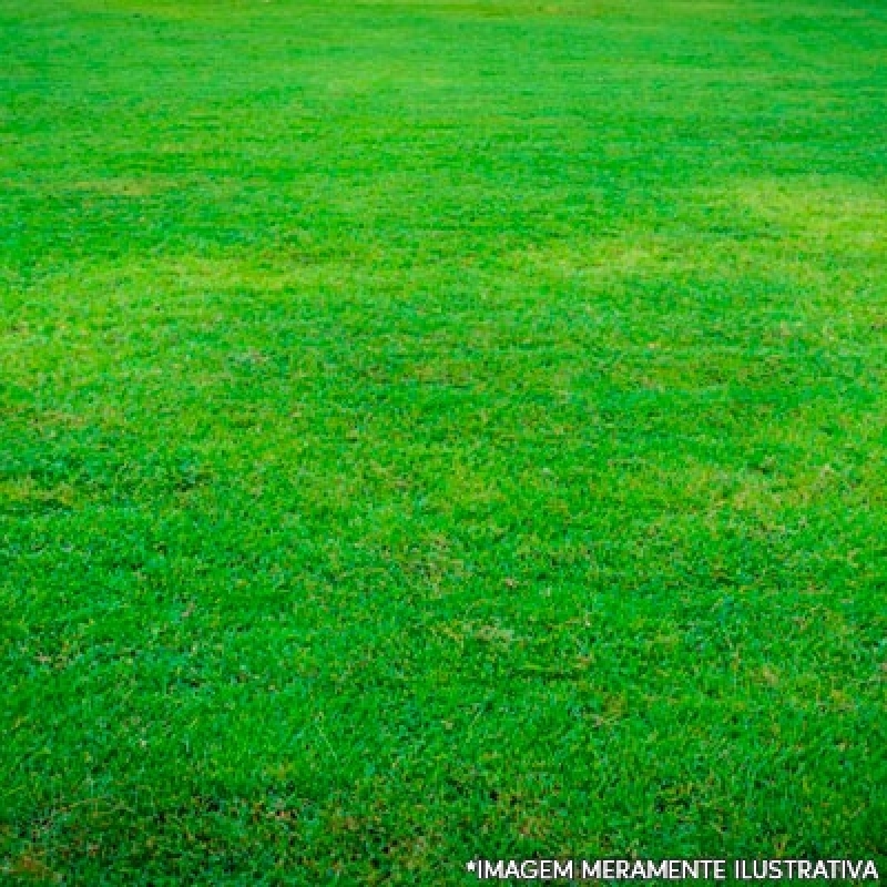 Grama Sintetica no Jardim