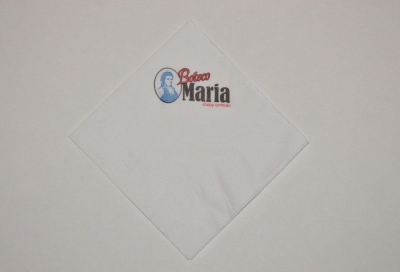 Guardanapos Personalizados para Lanchonete