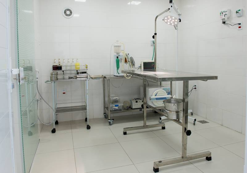 Hospital Veterinário para Hamster