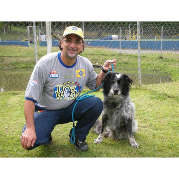 Hotel para Cães na Vila Madalena