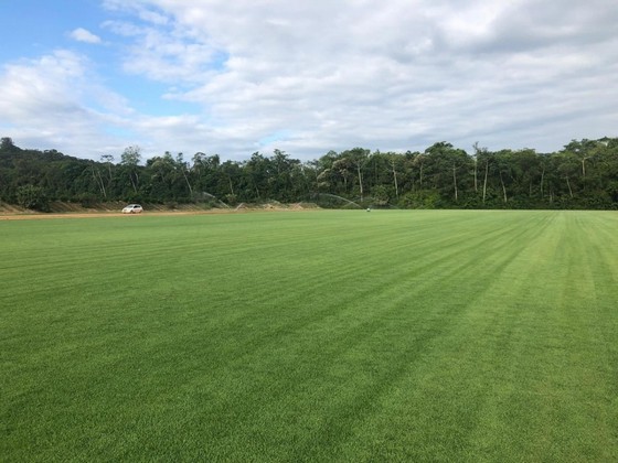 Instalação de Grama em Campo de Golf