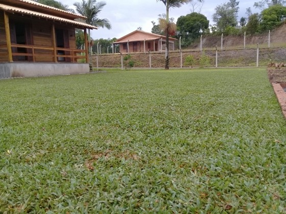 Instalação de Grama em Sítio