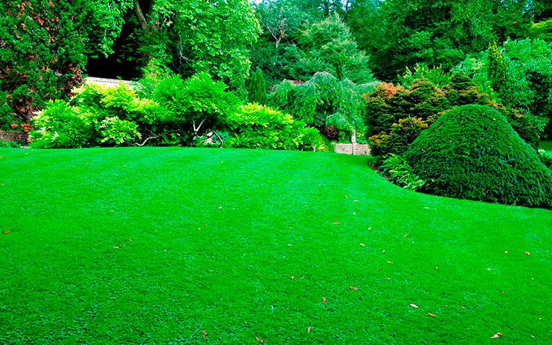 Jardinagem Terceirizada Preço
