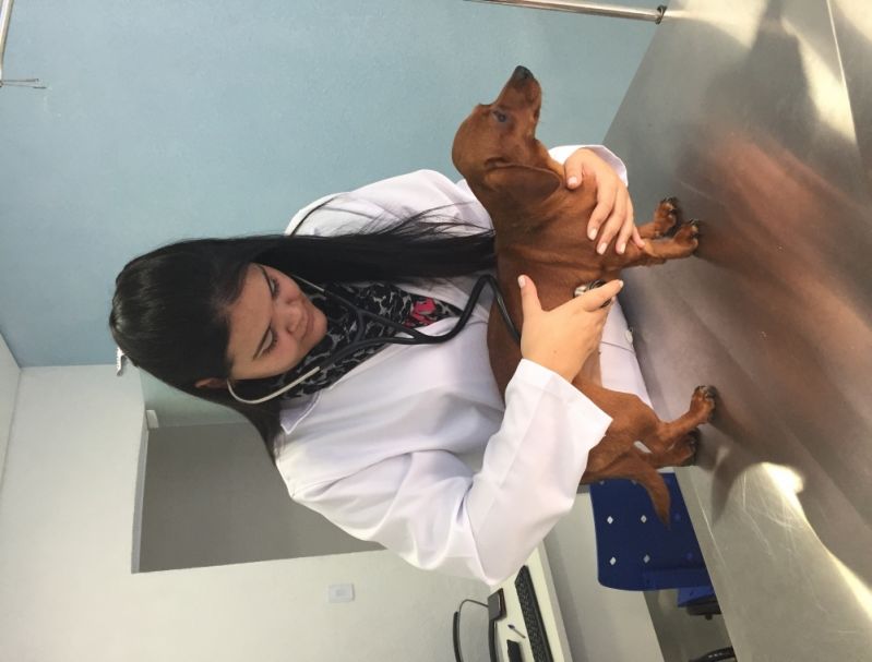 Laboratórios Veterinários para Cachorro