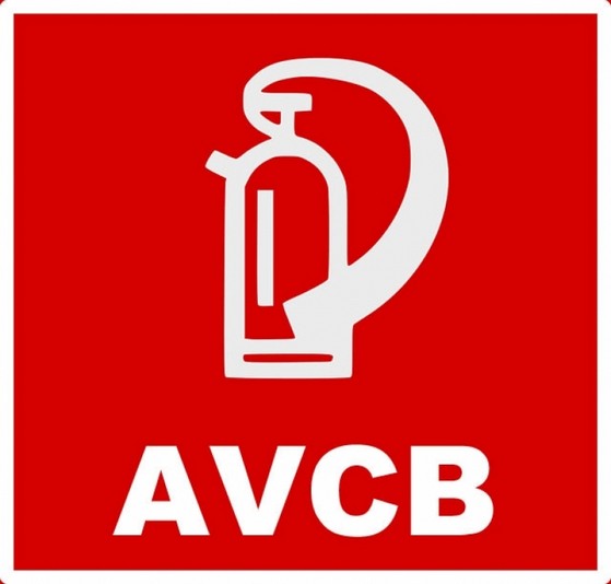 Laudo para Avcb