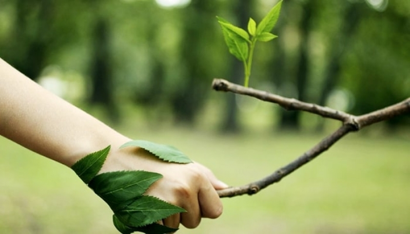 Licenciamento Ambiental em São Paulo