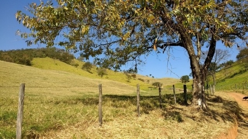 Licenciamento Ambiental Graprohab com Parecer Técnico