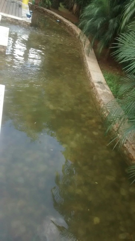 Limpeza de Piscina Aquecida