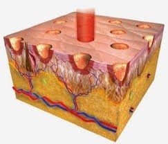 Locação de Aparelhos de Estética