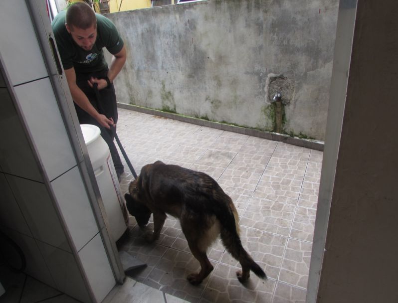 Locação de Cão Farejador na Zona Norte