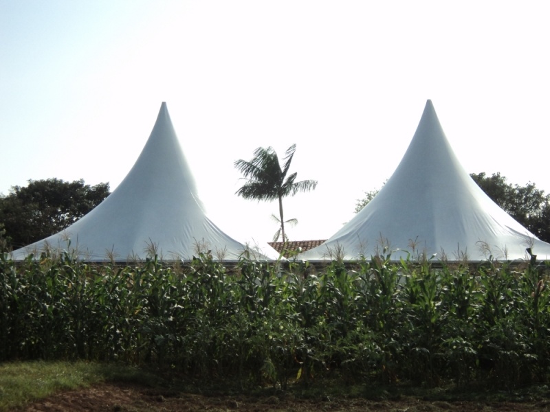 Locação de Tenda Aranha para Casamento