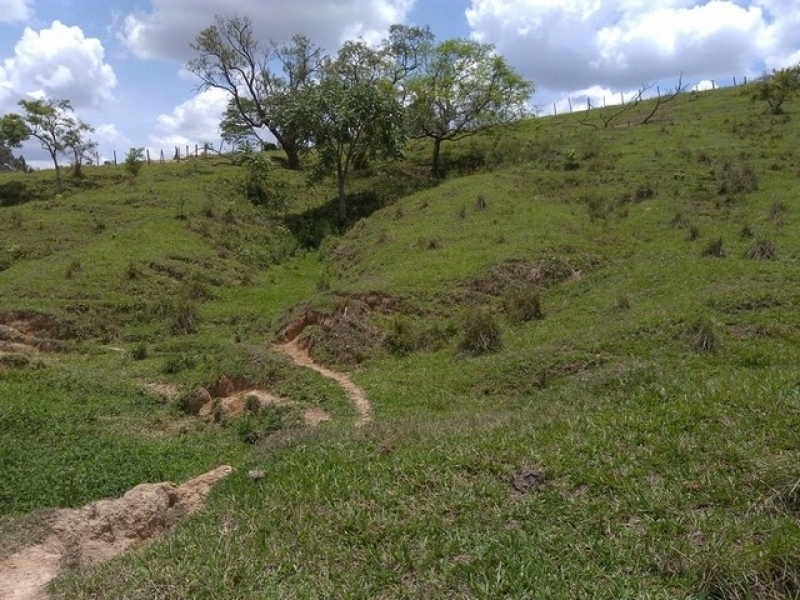 Manual de Licenciamento Ambiental Graprohab