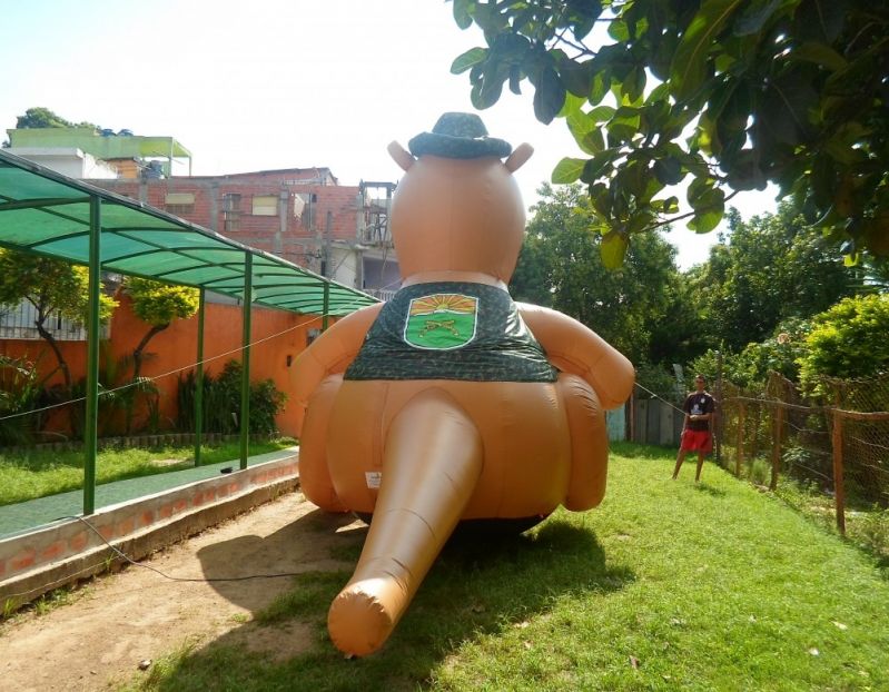 Mascote Inflável a Venda