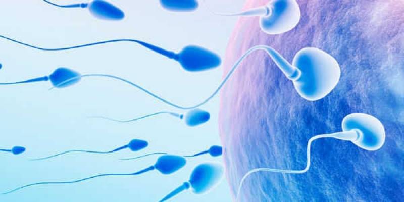 Médico de Infertilidade do Homem