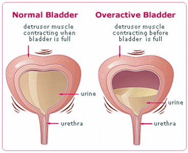 Médico Urologista Feminina Particular