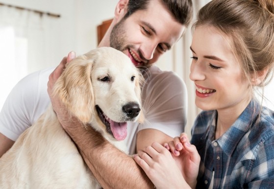 Médico Veterinário Consulta