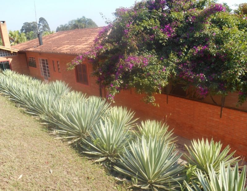 Paisagismo Residencial em Maceió