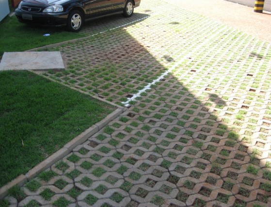 Paver Ecológico