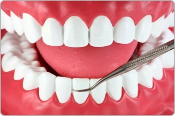 Periodontia