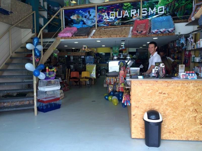 Pet Shop para Coelhos
