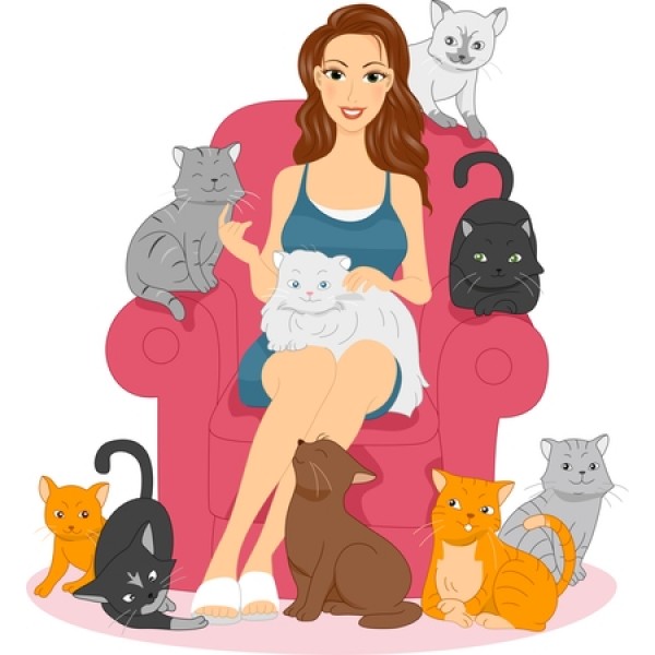 Pet Sitter para Gatos