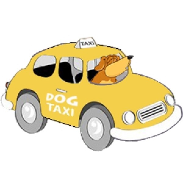 Pet Táxi na Zona Sul