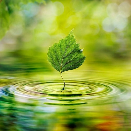 Plano de Intervenção Ambiental