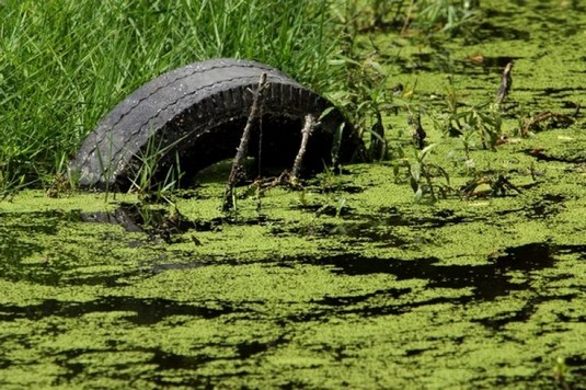 Plano de Intervenção de Passivo Ambiental