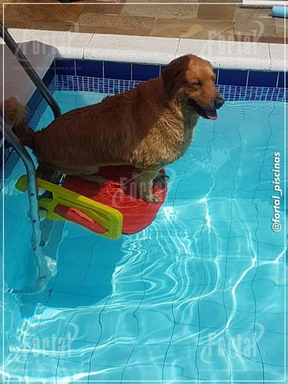 Plataforma Elevadora Piscina