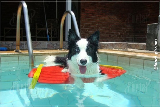 Plataforma para Piscina Elevada