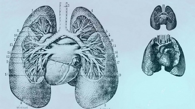 Pneumologista Especialista em Fibrose Pulmonar