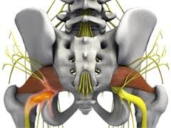 Quiropraxia para Dor Ciática