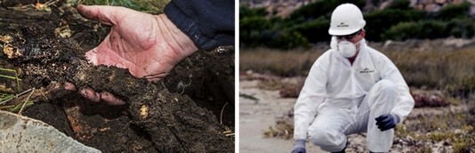 Remediação de água Contaminada por Metais Pesados