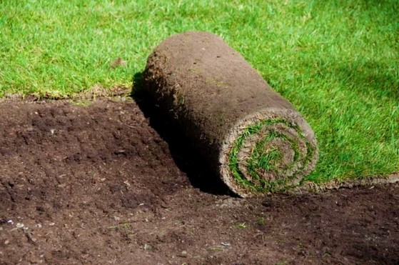 Rolo de Grama para Jardim