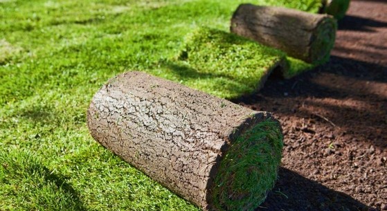 Rolo de Grama para Paisagismo